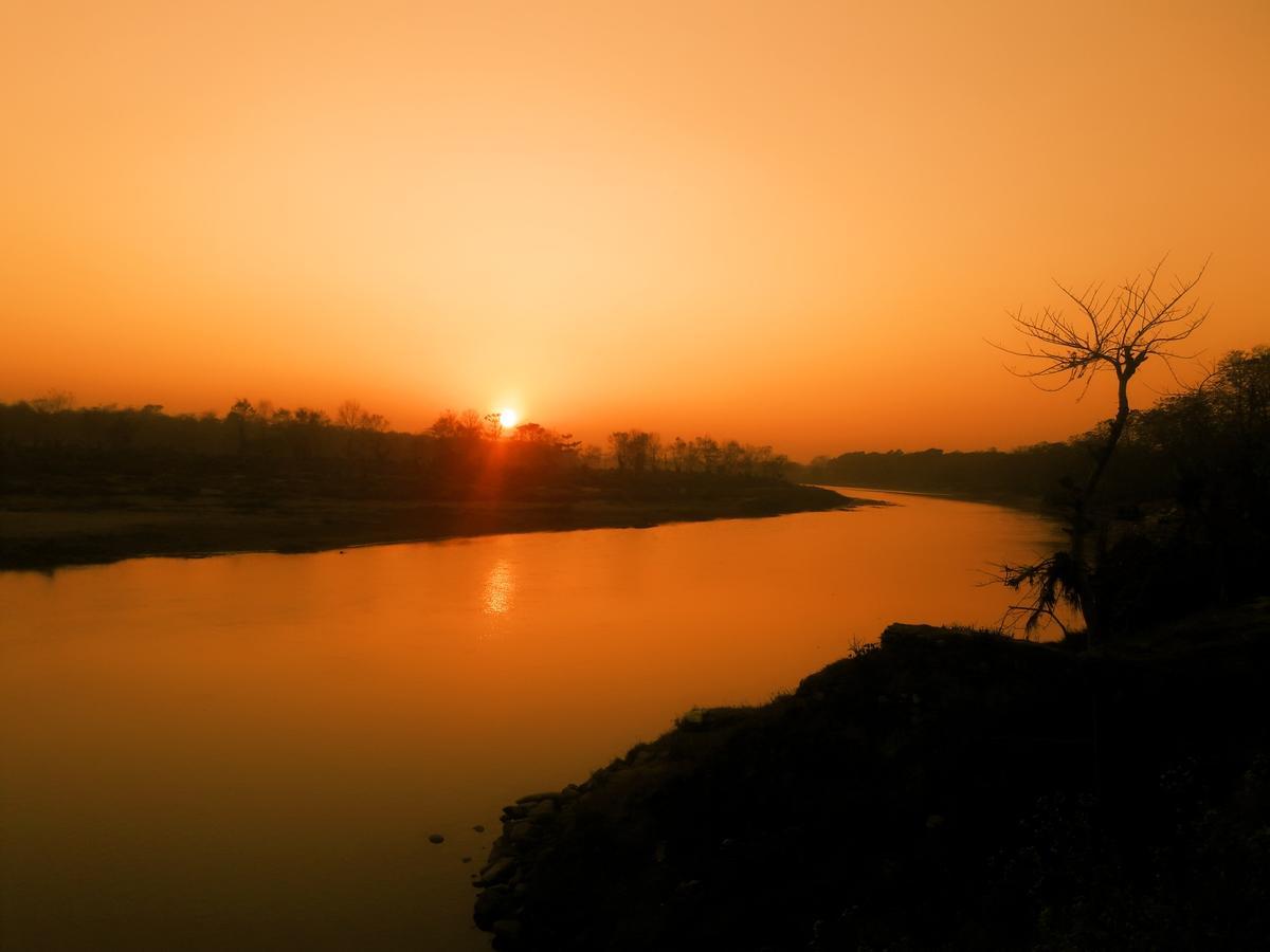 River Park Retreat Sauraha Eksteriør billede